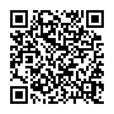 QR code for 225SYV