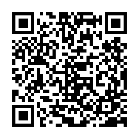 QR code for 225TDT