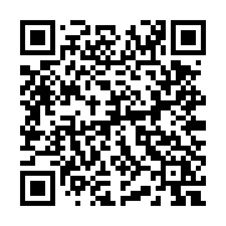 QR code for 225TTX