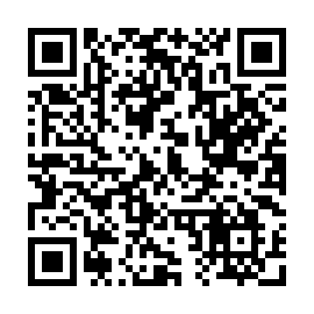 QR code for 228CIO