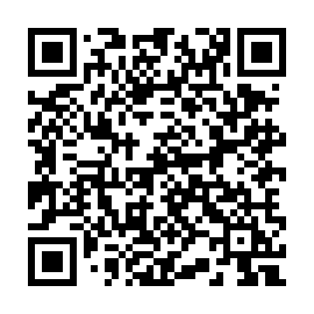 QR code for 228DMI