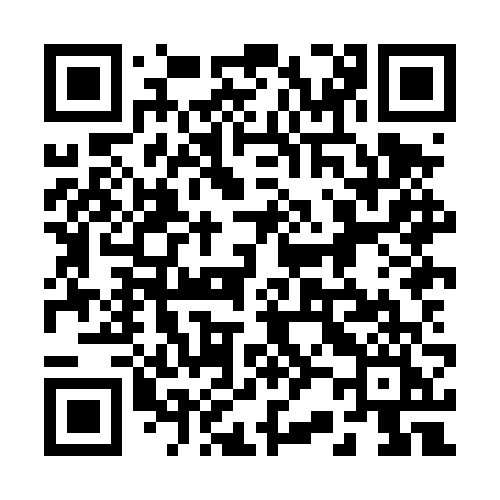 QR code for 228DVI