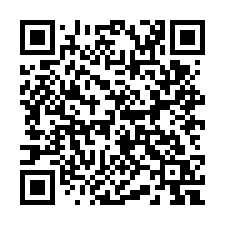 QR code for 228FSS