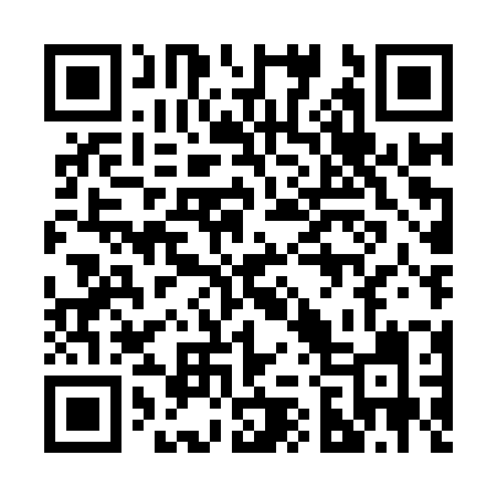 QR code for 228IZI