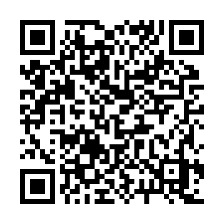 QR code for 228JZZ
