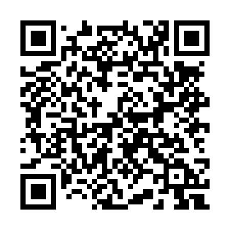 QR code for 228LSD