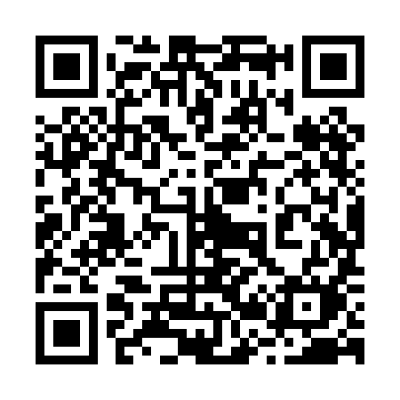 QR code for 228PIM