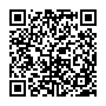 QR code for 228PUB