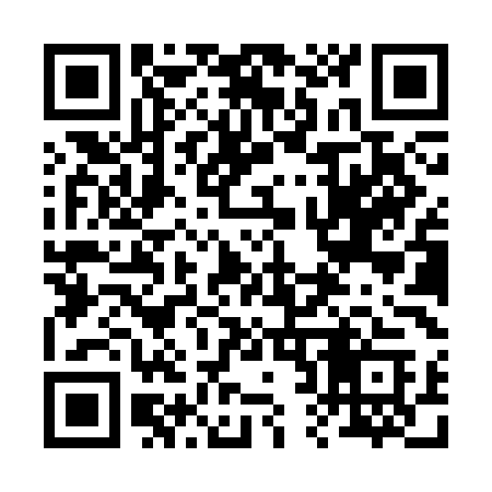 QR code for 228SMC