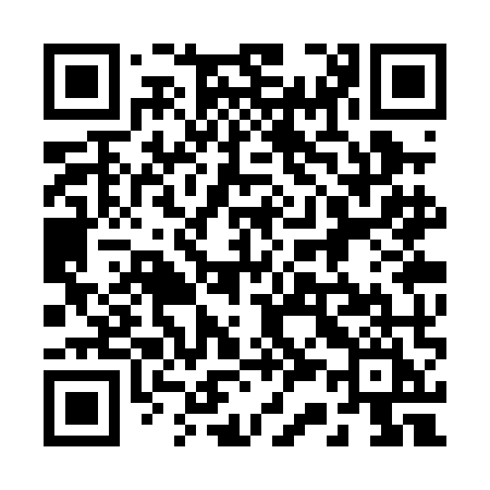 QR code for 233PMI