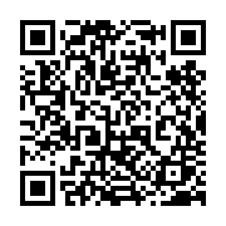 QR code for 233TOS