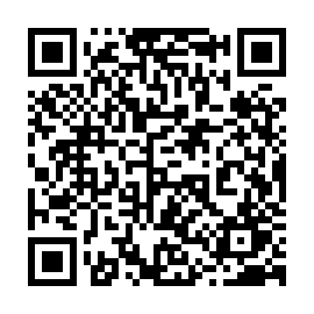 QR code for 245XZT