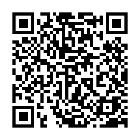 QR code for 246PKA