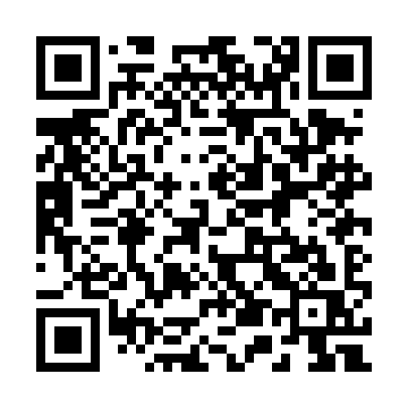 QR code for 250DIS