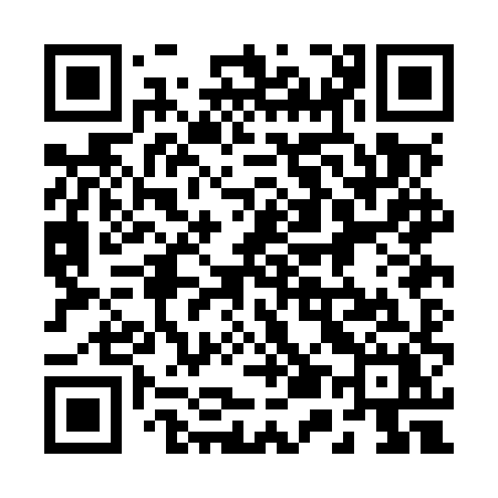 QR code for 250MXX