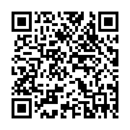 QR code for 250PYG