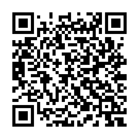 QR code for 250QZL