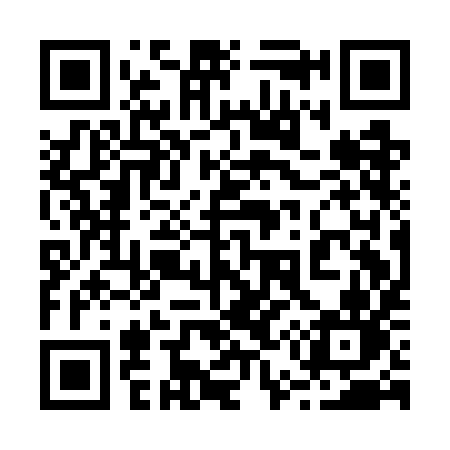 QR code for 251GIN