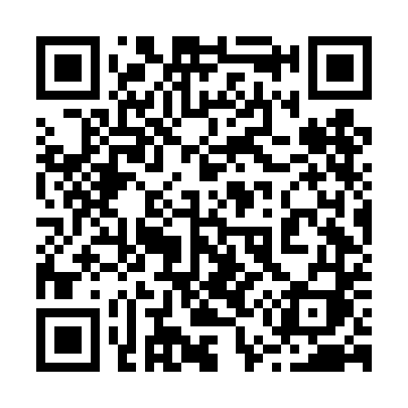 QR code for 256DDI