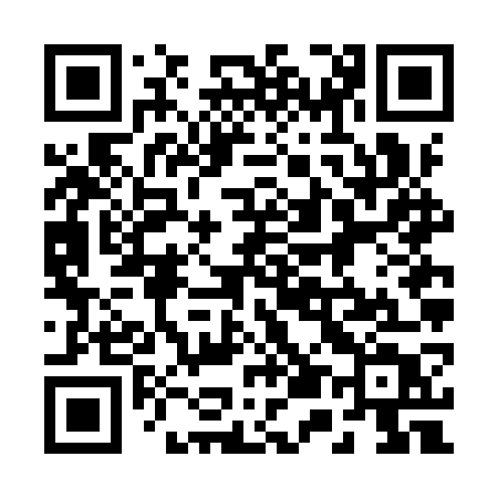 QR code for 256IWT