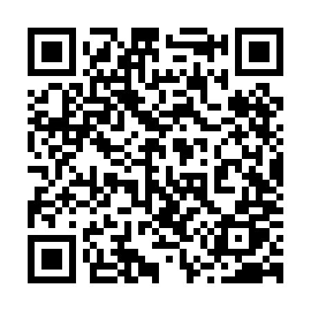QR code for 256PMP
