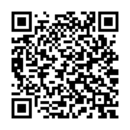 QR code for 256QPP