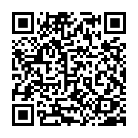 QR code for 262MSX