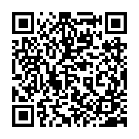 QR code for 285RUR