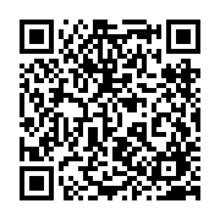 QR code for 287BIG
