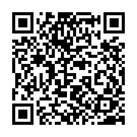 QR code for 289MIZ