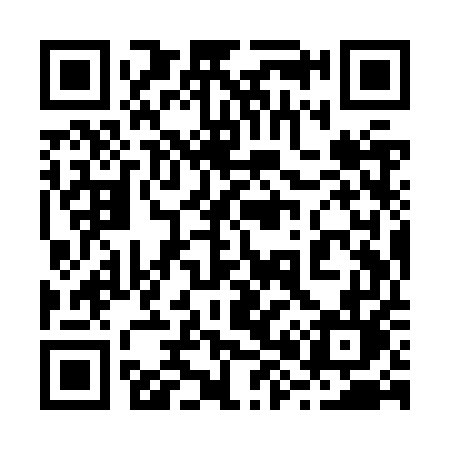 QR code for 289ZUL
