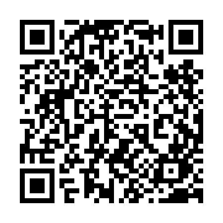 QR code for 290DEN