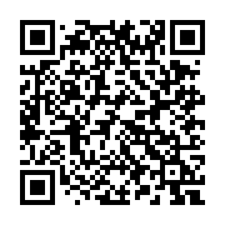 QR code for 290DOE