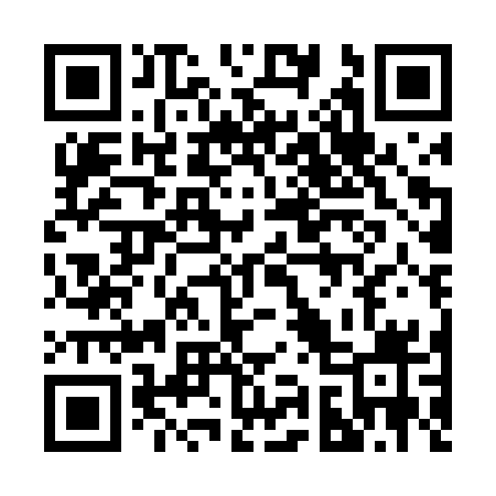QR code for 290DSY