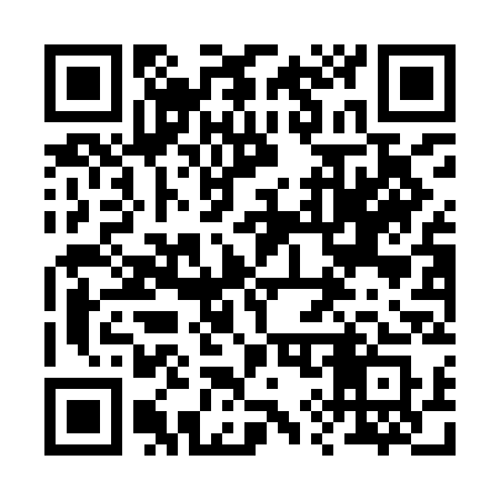 QR code for 290ICS