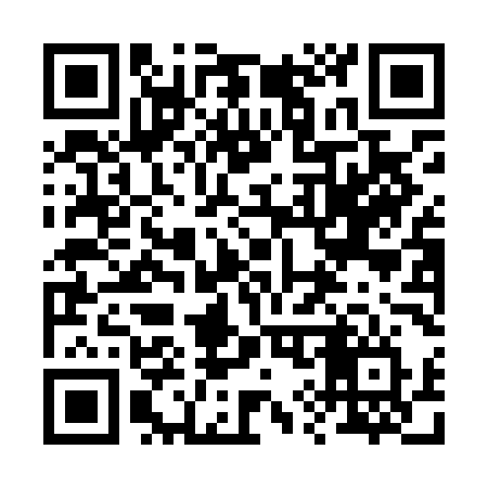 QR code for 290LMV