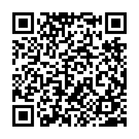 QR code for 290NAT