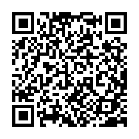 QR code for 290QPI