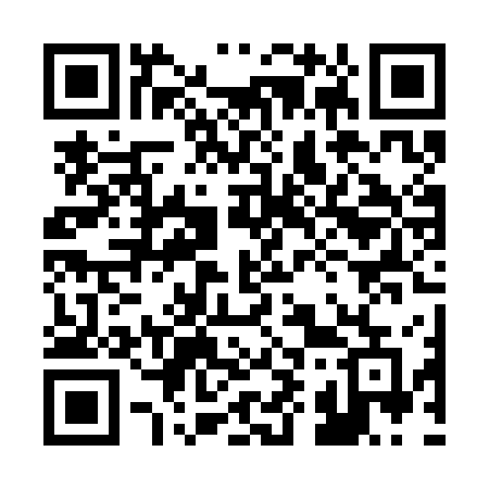 QR code for 290SGE