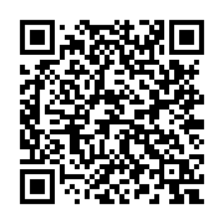 QR code for 290XSR