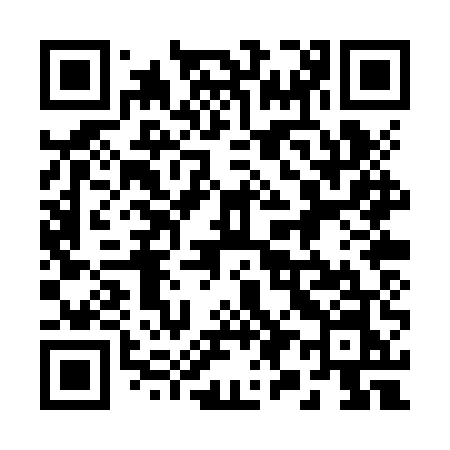 QR code for 290ZUN