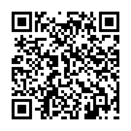 QR code for 291DXA
