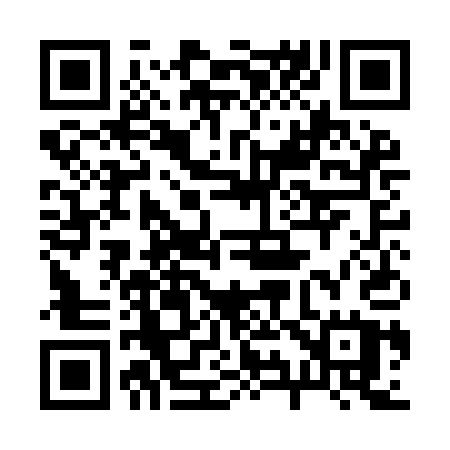 QR code for 291IAU