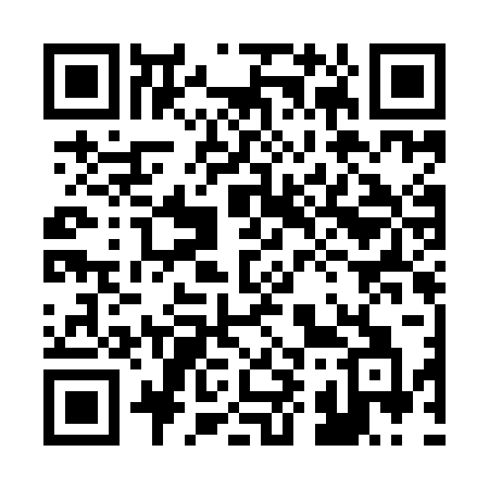 QR code for 291IBA