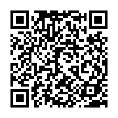 QR code for 291LPI