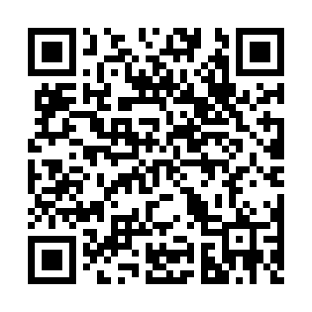 QR code for 291MNP