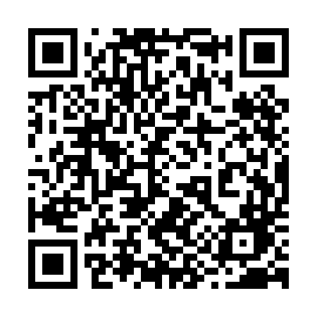 QR code for 291PDD