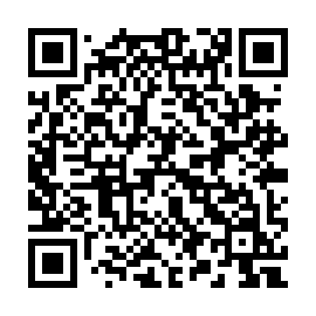 QR code for 291PIN