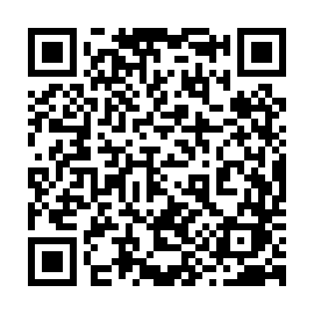 QR code for 291PTK