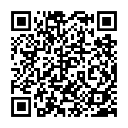 QR code for 291WAI